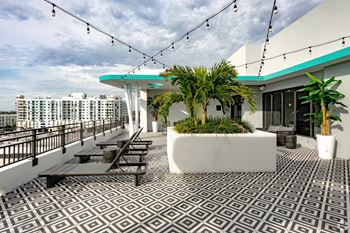 Our sky deck with lounge chairs and palms at Hollywood Heights on the Boulevard Luxury Apartments in Hollywood, FL